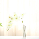 2 Stems | 40inch Tall Cream Artificial Silk Orchid Flower Bouquets