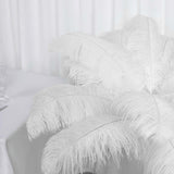 Set of 12 | 24"-26" White Natural Plume Ostrich Feathers Centerpiece 