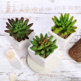 3 Pack | 4inches Ceramic Planter Pot & Artificial Lotus Succulent Plants