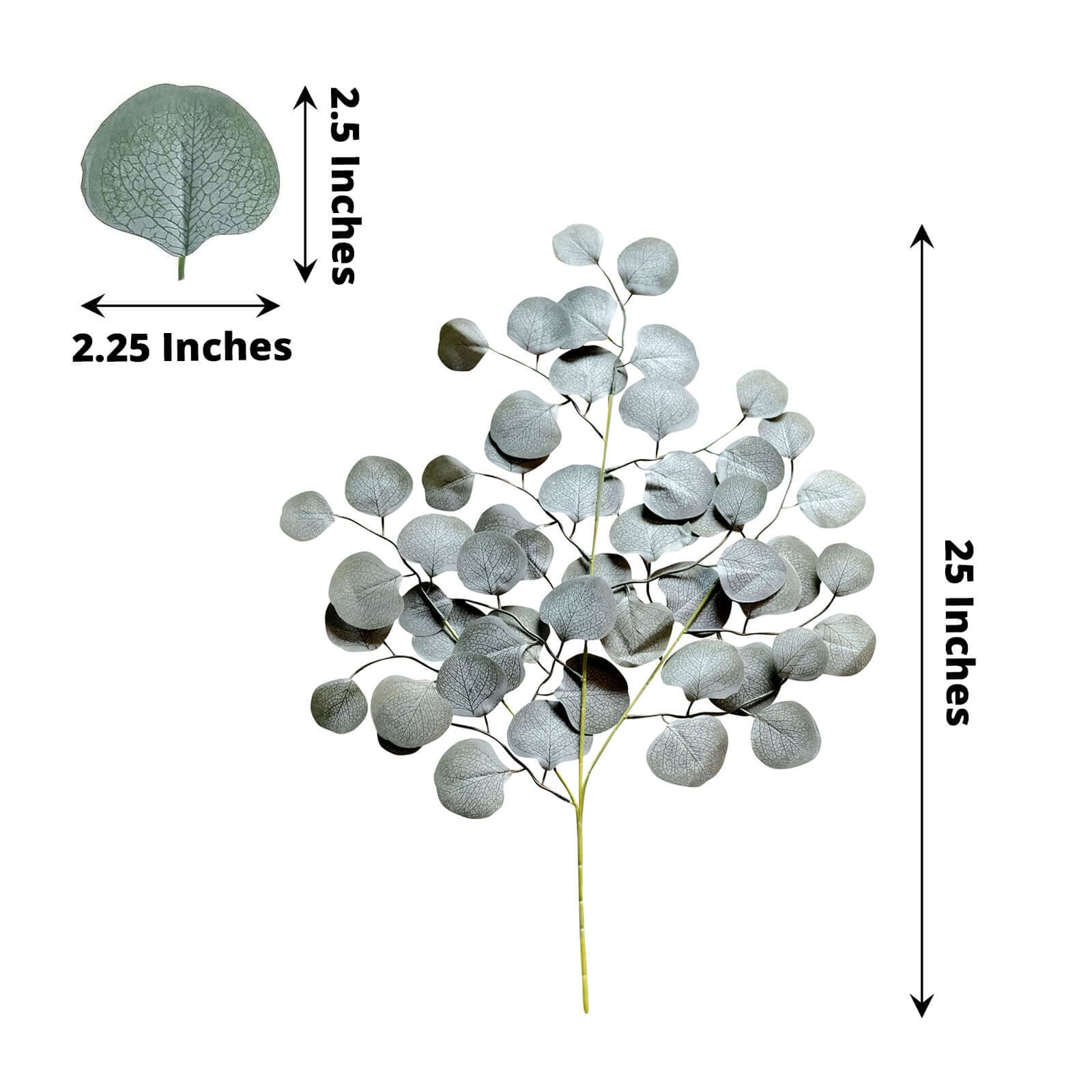 Slide image c8c2104201ab450f8bbbba4188b52349