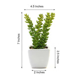 3 Pack | 8inches Ceramic Planter Pot & Artificial Sedum Succulent Plants