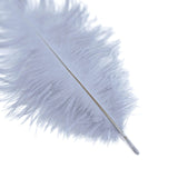 12 Pack | 13-15inch Dusty Blue Natural Plume Real Ostrich Feathers, DIY Centerpiece Fillers