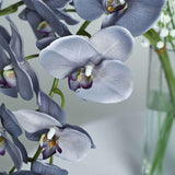 2 Stems | 40inch Tall Charcoal Gray Artificial Silk Orchid Flower Bouquets