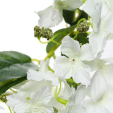 4 Stems | 41inch Tall White Artificial Silk Hydrangea Flower Branches