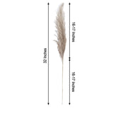 6 Stems | 32inch Natural Tint Dried Natural Pampas Grass Plant Sprays