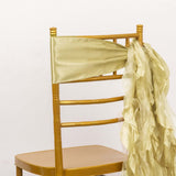 5 Pack Champagne Curly Willow Chiffon Satin Chair Sashes