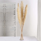 6 Stems | 49inch Wheat Tint Dried Natural Pampas Grass Plant Sprays