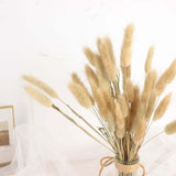 50 Pack | 15inch Natural Rabbit Tail Dried Pampas Grass Stem Bouquets