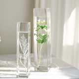 12 Pack | 14inch Heavy Duty Square Glass Cylinder Vases, Clear Glass Flower Vase