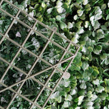 11 Sq ft. | Dark Green Boxwood Hedge Garden Wall Backdrop Mat