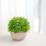 2 Plant Set | 5inch Mini Potted Artificial Boxwood Topiary Faux Planter Collection