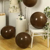 10 Pack Matte Pastel Cinnamon Brown Biodegradable Balloons 18inch, Round Eco-friendly