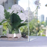 Clear Acrylic Pedestal Risers | Transparent Acrylic Display Boxes