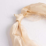 5 Pack Beige Curly Willow Chiffon Satin Chair Sashes