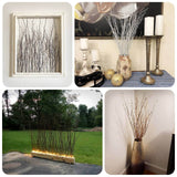 6 Pack Natural Extra Long Willow Tree Branches