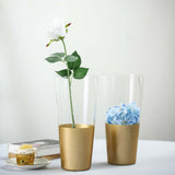 2 Pack | 12inch Clear Glass Vases | Bud Vases | Gold Dipped Cylinder Vases