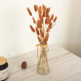 50 Pack | 15inch Brown Rabbit Tail Dried Pampas Grass Stem Bouquets, Boho Flower Arrangement Sprays
