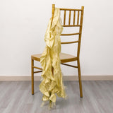 5 Pack Champagne Curly Willow Chiffon Satin Chair Sashes