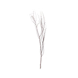 6 Pack Natural Extra Long Willow Tree Branches