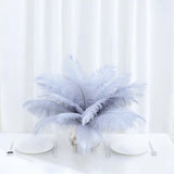 12 Pack | 13-15inch Dusty Blue Natural Plume Real Ostrich Feathers, DIY Centerpiece Fillers