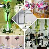 6 Pack Clear Heavy Duty Glass Eiffel Tower Vases with Round Base, 20inch Tall Skinny Flower Bud Vase