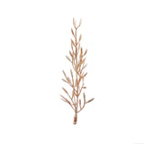 25 Pack | 6" Metallic Gold Artificial Fern Leaf Branch Stems, Vase Filler Floating Candle#whtbkgd