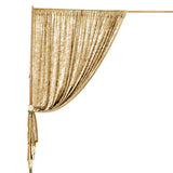 8ft Champagne Premium Velvet Backdrop Stand Curtain Panel, Drape