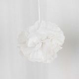 6 Pack 8inch White Tissue Paper Pom Poms Flower Balls, Ceiling Wall Hanging Decorations