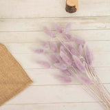 50 Pack | 15inch Lavender Lilac Rabbit Tail Dried Pampas Grass , Boho Flower Arrangement Sprays
