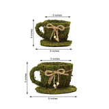 Set of 2 | Preserved Moss Teacup Planter Box with Natural Braided Twine Bow - 5" & 4.5"