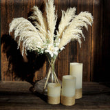 6 Stems | 32inch Wheat Tint Dried Natural Pampas Grass Plant Sprays