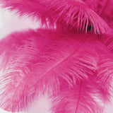 12 Pack | 13-15inch Fuchsia Natural Plume Real Ostrich Feathers, DIY Centerpiece Fillers