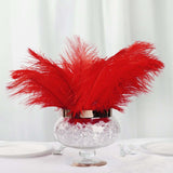 12 Pack | 13-15inch Red Natural Plume Real Ostrich Feathers, DIY Centerpiece Fillers