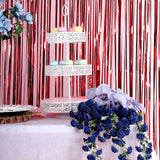 8ft Red Metallic Tinsel Foil Fringe Doorway Curtain Party Backdrop
