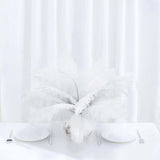 12 Pack | 13-15inch White Natural Plume Real Ostrich Feathers, DIY Centerpiece Fillers