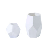 Set of 2 | Geometric Flower Vases, Matte White Modern Glass Vases Table Centerpiece - 5inch | 8inch#whtbkgd