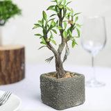 9inches Concrete Planter Pot & Artificial Willow Tree Succulent Plant