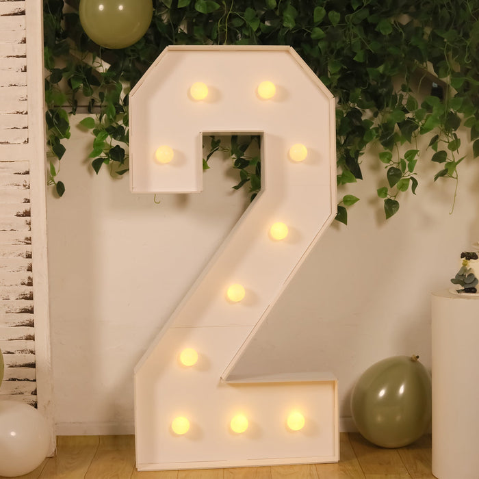 Illuminated marquee number two with lights against a greenery backdrop.