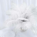 12 Pack | 13-15inch White Natural Plume Real Ostrich Feathers, DIY Centerpiece Fillers