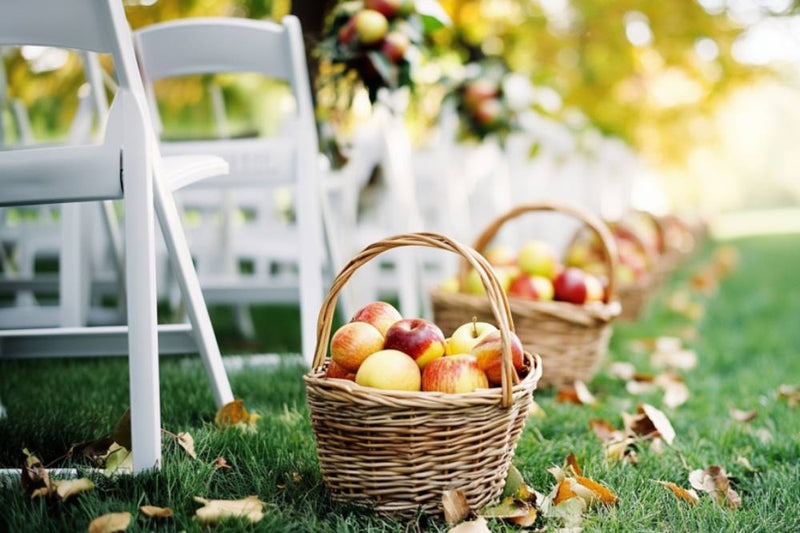 fall wedding decor. apples