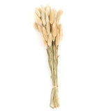 50 Pack | 15inch Natural Rabbit Tail Dried Pampas Grass Stem Bouquets