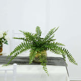 20inch Artificial Boston Fern Green Leaf Plant, Premium Real Touch Indoor Spray