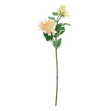 30" Tall Blush/Cream Artificial Dahlia Silk Flower Stems, Faux Floral Spray