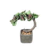 8inches Concrete Planter Pot, Artificial Perle Von Nurnberg Succulent Plant