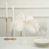 15inch LED White Ostrich Feather Table Lamp Wedding Centerpiece