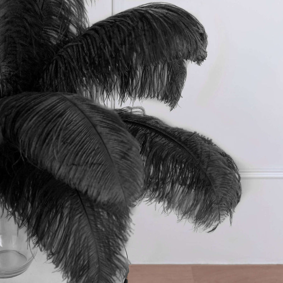 12-Pack Black Natural Plume Ostrich Feathers, 24-26″