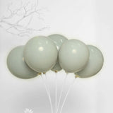 25 Pack | 10inch Matte Gray Double Stuffed Prepacked Latex Party Balloons