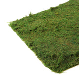 18x16inch | Preserved Natural Moss Wall Sheet Roll, Moss Landscape Panel