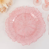 6 Pack 13inch Transparent Blush Round Reef Acrylic Plastic Charger Plates, Dinner Charger Plates