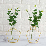 2 Pack | 6.5inch Geometric Gold Metal Frame Test Tube Vase Flower Stands